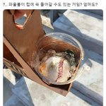 [ㅈㄱㄴ] 원래 <b>빈속</b>에 타이레놀 먹으면 이래???