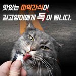 [방탈죄<b>송</b>] 길고양이들 손 태우지 마세요.