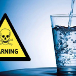 세상에서 가장 위험한 도박