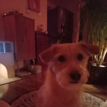 돌아온<b>베리</b>