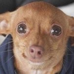 3명<b>무리</b>인데, 둘이 개친함