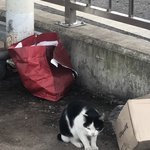 [19] 남친이랑 아빠랑 <b>이름</b> 똑같으면 어캄