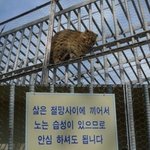 <b>자퇴</b>하고 싶다