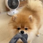 서양 <b>윤리</b> 개념 질문…살려줘요