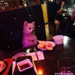 너네 최애가 <b>똥</b>꼬에 걸린 콩나물 빼고있는걸