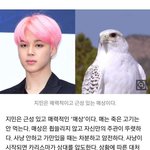 [군머] 매죽안먹