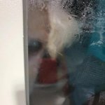 동대구역 물품보관함에 유기된 강아지 구조