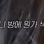 르세라핌 멤버들이 <b>채원</b>이한테 인형 선물할 때