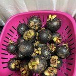 [NCT드림] 망고스틴 <b>개꿀</b>맛인데