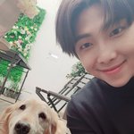 [방탄소년단] 주니랑 <b>댕댕이</b>