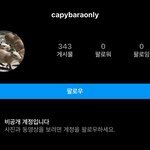 [드루와] 헐 제니 <b>부계</b>