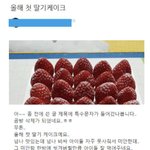 인스타 제일 이해 안되는 <b>부류</b>