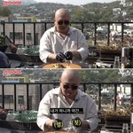 돈스파이크 약을 얼마나 했으면