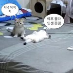 [댓글부탁해] <b>매년</b> 은따..