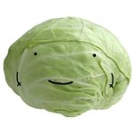 <b>팬</b> 별로 없는데 개유명한 <b>여</b>돌