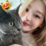 이 고양이들 <b>세은</b>이 키우는 고양이들이야?