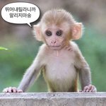 하..ㅋ 자느라 학교못갔다