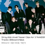 [스키즈] 스테이