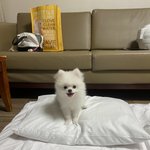 우리 기염<b>둥이</b> 뭉치 자랑해볼게요