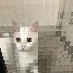 <b>픽셀</b>과 고양이가 만나면?