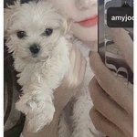 <b>셔누</b>글 왜다 썰린거? 여자친구얘기