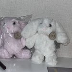 [드루와] 뉴진스 가방에 달려고 <b>인형</b>키링 샀다능