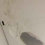 [방탈죄송] 월세 주고 사는데 한 달 반 동안 이렇게 살았습니다...