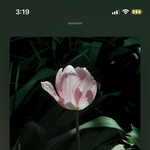 너 생각보다 머리 안 좋더라
