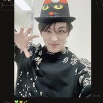[NCT칠프] 애옹이
