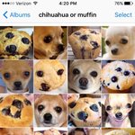 [댓글부탁해] 클렌징 <b>오일</b> 살껀뎅 추천좀,,