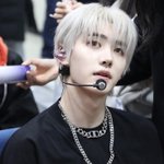 박성훈 백사자가 어울림 <b>백호</b>가 어울림? 추반 ㄱ