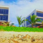 흔한 데이팅 예능에 <b>신여성</b>의 등장