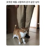 <b>옷소매</b> 붉은 끝동 같은 드라마 추천해줘