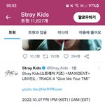 [스키즈] Give Me Your <b>TMI</b>