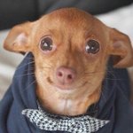 나 ㅈㄴ<b>꼬임</b>