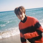 [세븐틴] <b>이런느낌</b> 세븐틴 사진 있는사람 나눔 좀 해주라ㅠㅠ