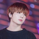 [모두드루와] 방탄 전정국 짤털