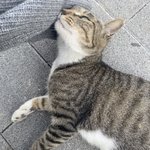 오늘의 <b>행운</b>~~~