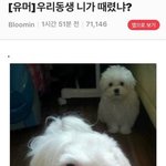 트위터에서 김남준 갑자기 <b>호감</b>이라고 하는거 너무 역겨움