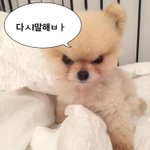 이것도 회피<b>성향</b>이냐?