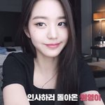 놀이기구 개 못 타는 사람이 이월드 간 후기