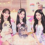 [모두드루와] 아이즈원 <b>디아이콘</b>을 아시나요..