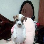판에 줌수업 <b>흑역사</b> 쓰는 글 있자나