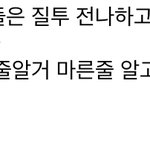 다이어트후기 찾다가 봤는데 너무