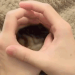 <b>해탈</b>