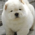 [드루와] 얘들아ㅋㅋㅋㅋㅋㅋㅋ제발들어와줘