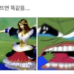 [드루와] 너네집 강아지 <b>앞니</b> 몇개임???