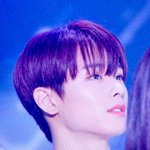주연시