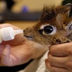 [댓글부탁해] 나 눈 겁나 <b>남상</b>임