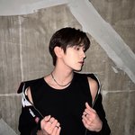 내 취향 뭐임